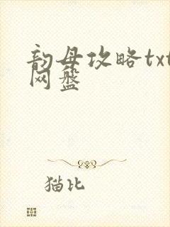 韵母攻略txt网盘