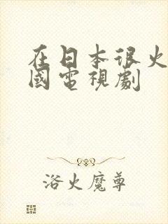 在日本很火的中国电视剧