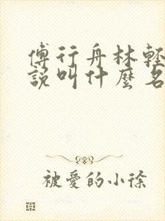 傅行舟林轻轻小说叫什么名字