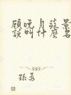 顾晚月苏景行小说叫什么名字