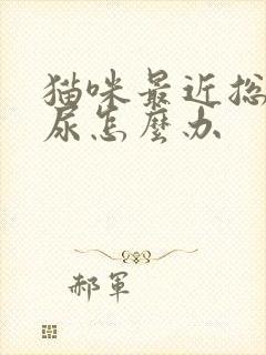 猫咪最近总是乱尿怎么办