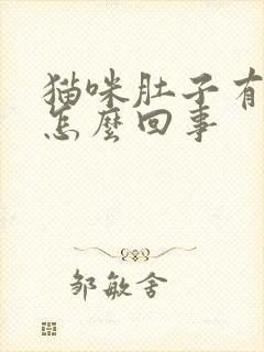 猫咪肚子有硬块怎么回事