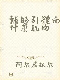 辅助引体向上练什么肌肉