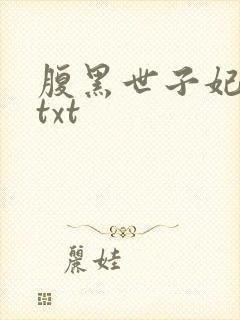 腹黑世子妃日常txt