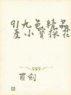 91九色精品国产小宝探花