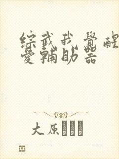 综武我觉醒了恋爱辅助器