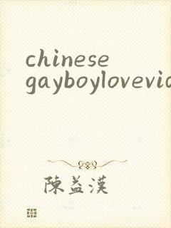 chinesegayboylovevideo