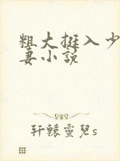 粗大挺入少妇人妻小说