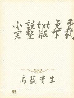 小说txt免费完整版下载