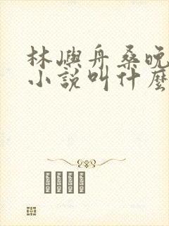 林屿舟桑晚温言小说叫什么名字