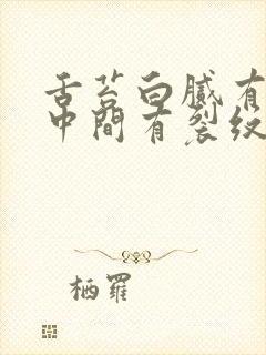 舌苔白腻有齿痕中间有裂纹吃啥药