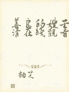 善良的嫂子2高清在线观看封面