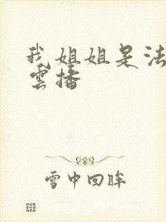 我姐姐是法官 云播