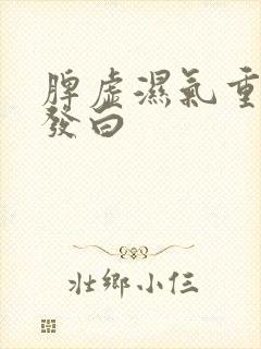 脾虚湿气重舌苔发白