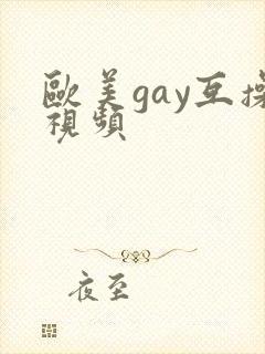 欧美gay互操视频