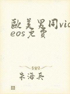 欧美男同videos免费