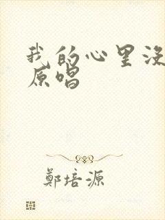 我的心里没有他原唱封面