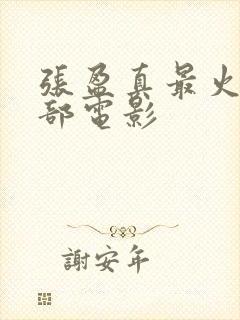 张盈真最火的三部电影