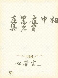 在黑夜中相拥全集免费