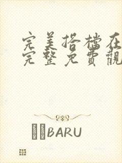 完美搭档在线版完整免费观看