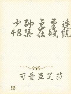 少帅免费连续剧48集在线观看高清