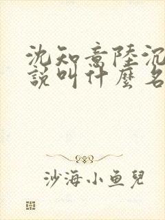 沈知意陆沉舟小说叫什么名字