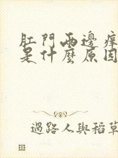 肛门两边痒起癣是什么原因