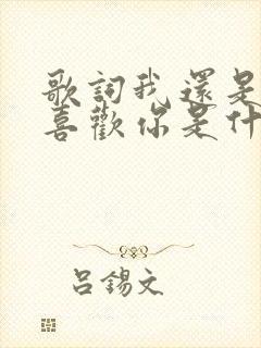 歌词我还是那么喜欢你是什么歌