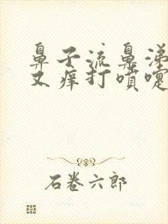 鼻子流鼻涕又堵又痒打喷嚏是什么情况