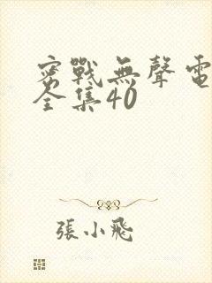 密战无声电视剧全集40