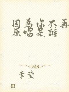 因为你不再是我原唱是谁