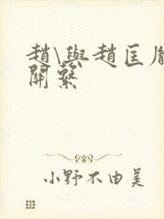 赵\与赵匡胤的关系封面