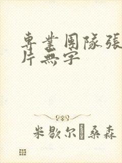 专业团队张伟图片无字