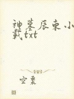 神墓辰东小说下载txt
