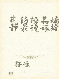 我的极品娇妻白静最后嫁给谁了