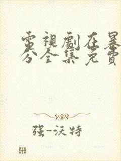 电视剧在暴雪时分全集免费