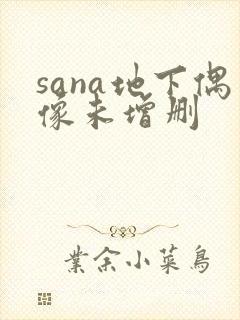sana地下偶像未增删