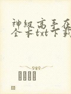 神级高手在都市全本txt下载