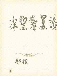 小狗感冒流黄鼻涕怎么办吃什么药