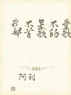 我不是不爱你是哪首歌的歌词