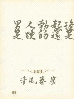 男人勃起后龟头是硬的还是软的