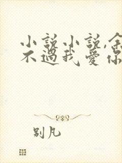 小说小说,余生不过我爱你