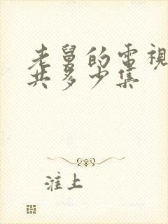 老舅的电视剧一共多少集