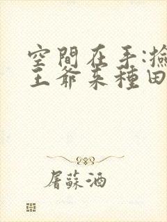 空间在手:捡个王爷来种田封面