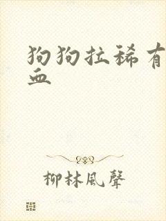 狗狗拉稀有点带血