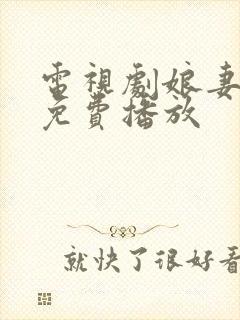 电视剧娘妻全集免费播放封面