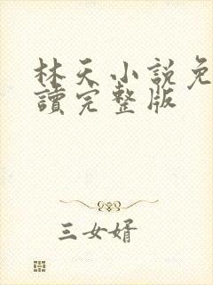 林天小说免费阅读完整版