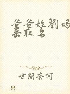 爸爸姓刘妈妈姓岳取名封面