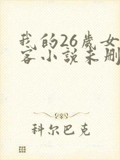 我的26岁女房客小说未删减封面