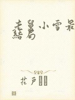 老舅小雪最后的结局